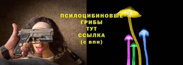 таблы Бородино