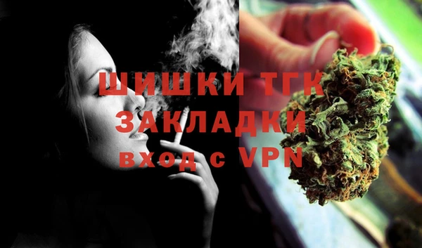 таблы Бородино