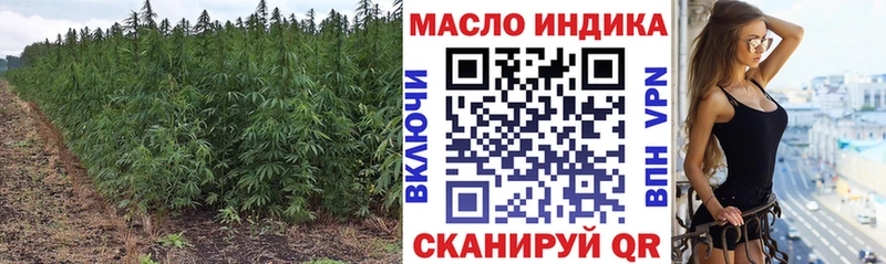 цена   Новохопёрск  ТГК концентрат 