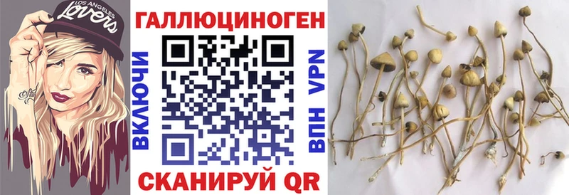 Галлюциногенные грибы прущие грибы  Новохопёрск 